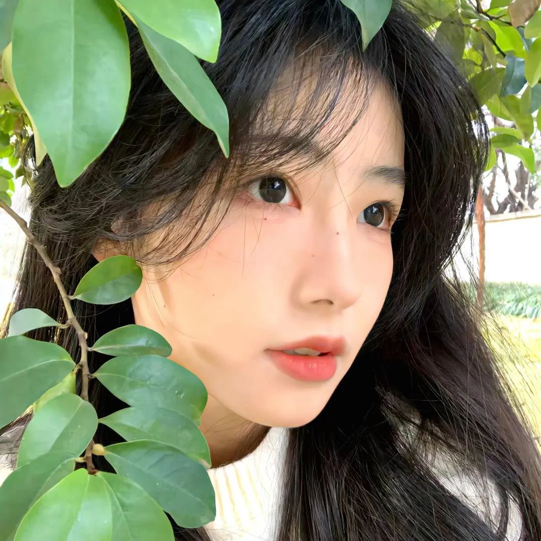 石榴花开